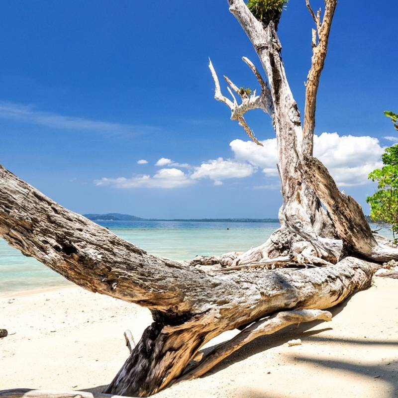 view of Elephant Beach