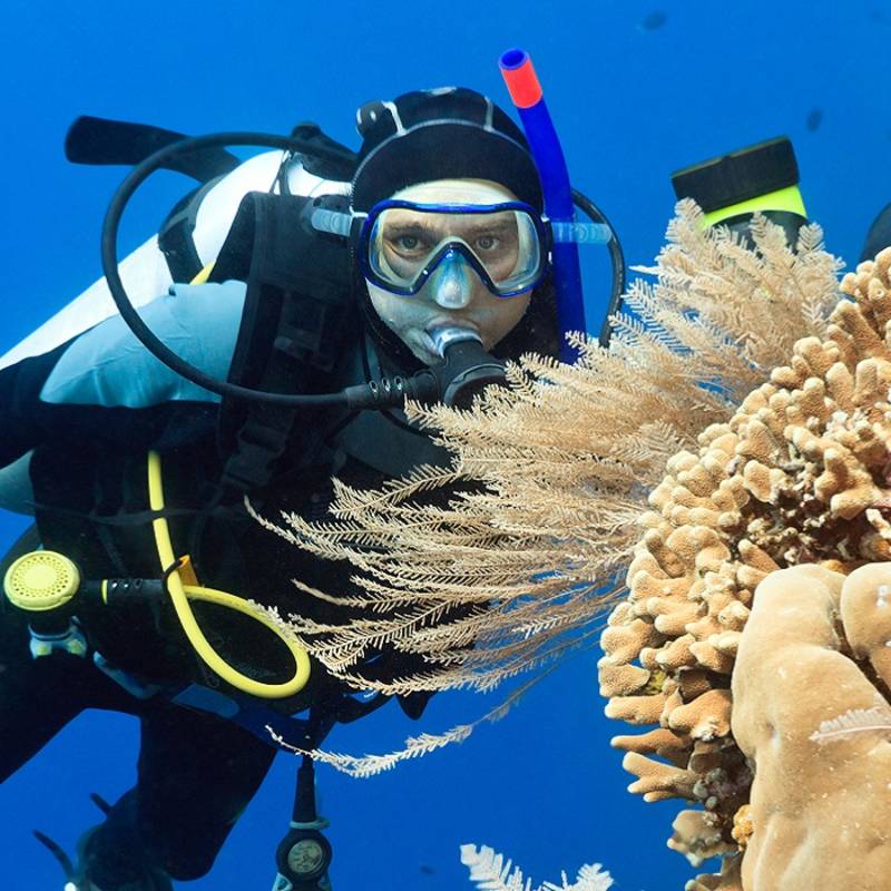 Enchanting Travels Indonesia Tours Scuba diver underwater close to coral reef