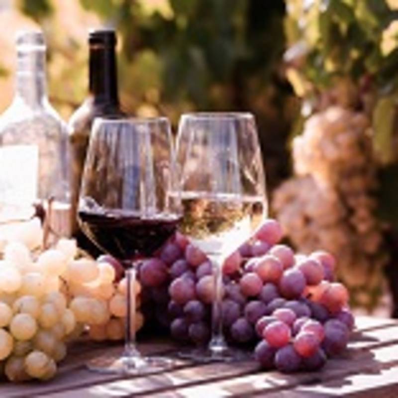 Enchanting Travels Italy Tours glasses of red and white wine and ripe grapes on table in vineyard at sun day