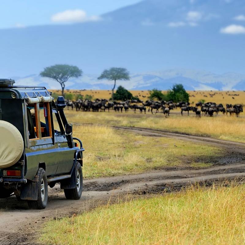 Best Things To Do in Kenya