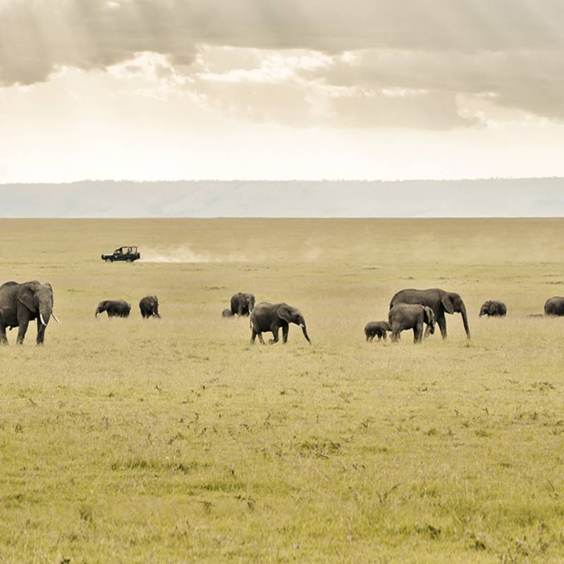 Kenya travel guide