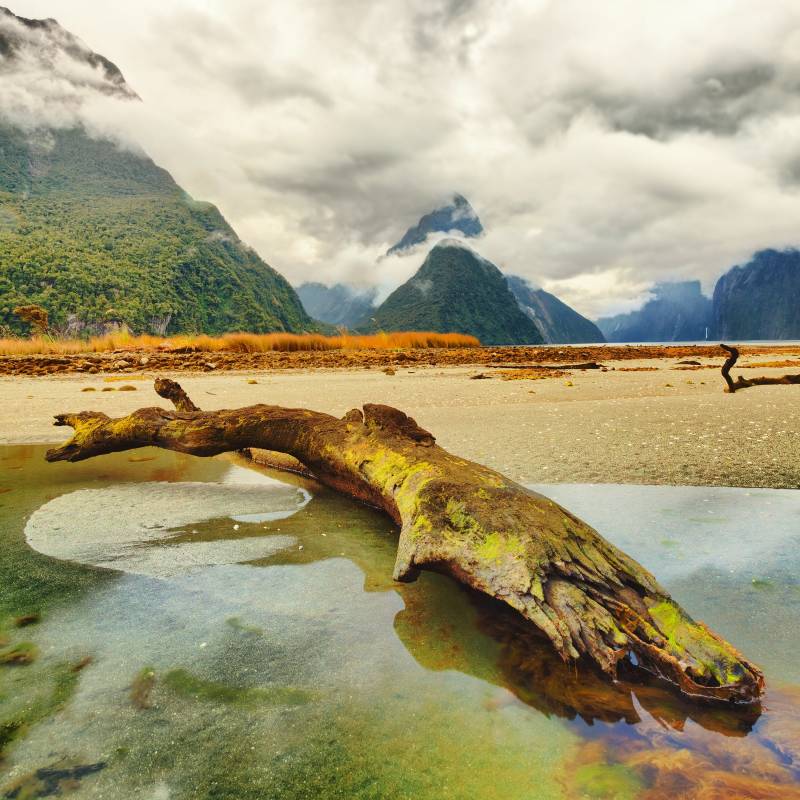 Enchanting Travels New Zealand Tours Milford sound. New Zealand fiordland