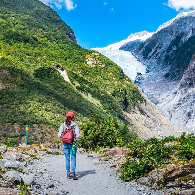 Enchanting Travels New Zealand Tours Track at Franz Josef Glacier, Located in Westland Tai Poutini National Park on the West Coast of New Zealand
