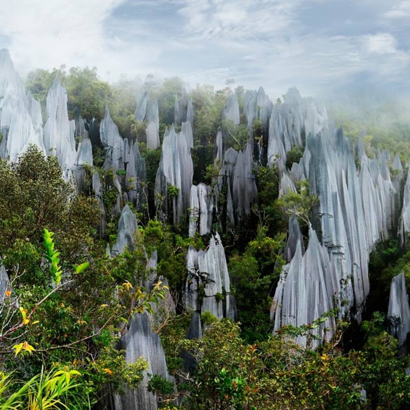 Best Things To Do in Asia