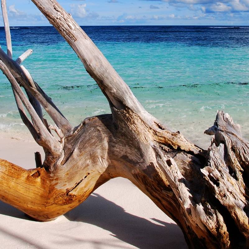 Seychelles Travel Tips