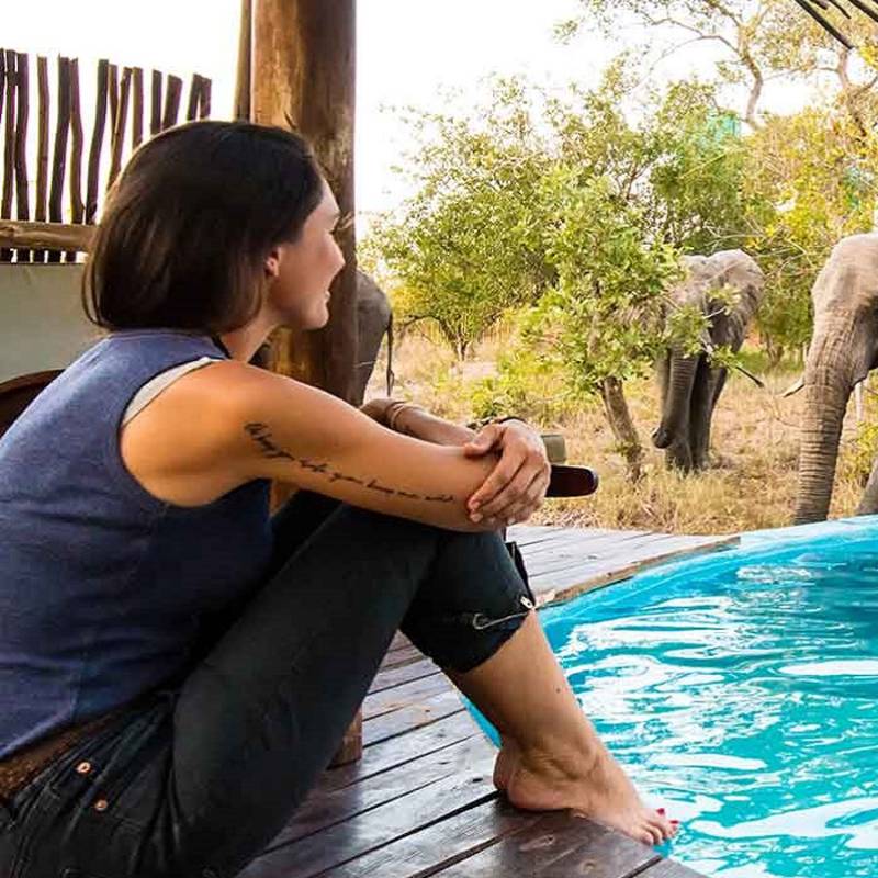 Sitting next to elephants in Kruger Central, South Africa