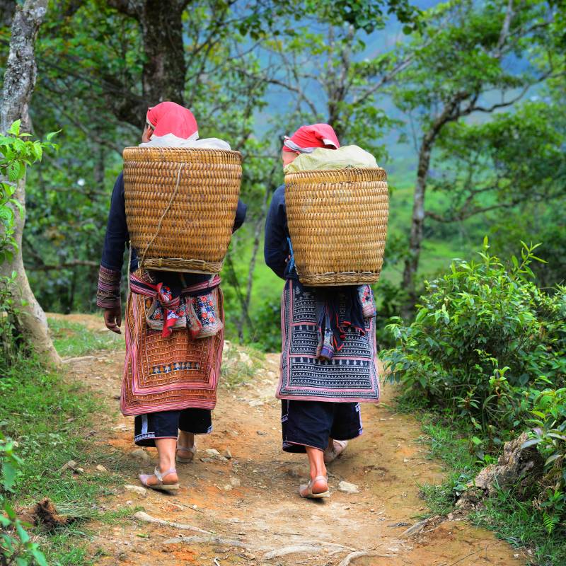 Sapa hill tribes