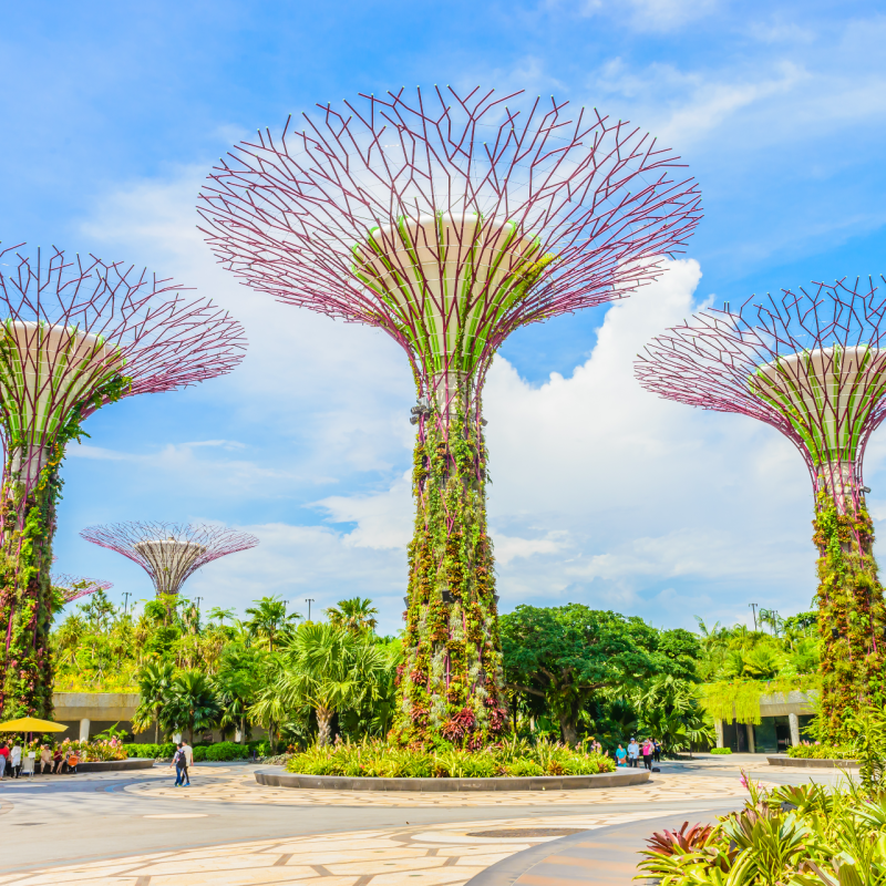 Best Things To Do in Singapore