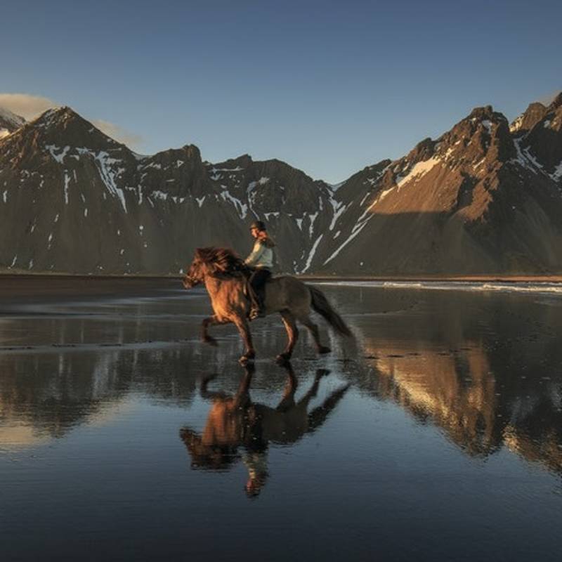 Horses - Things to do in Iceland - Enchanting Travels