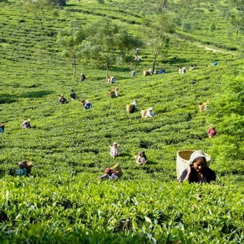 Indien Sehenswürdigkeiten