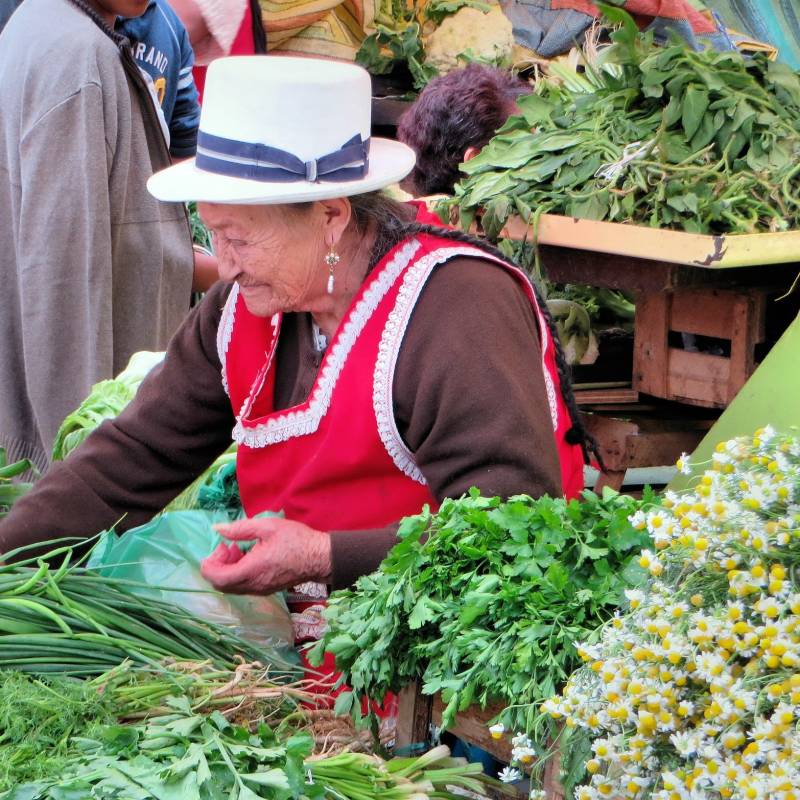 market woman traveling on ecuador