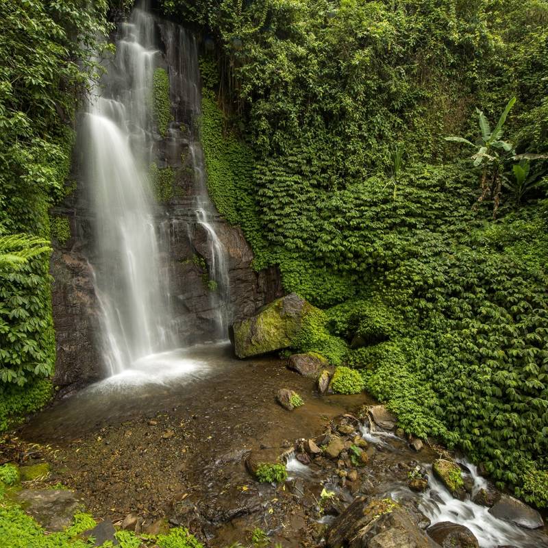 things to do in indonesia