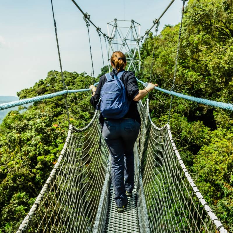 Canopy walk at Nyungwe - things to do in Rwanda