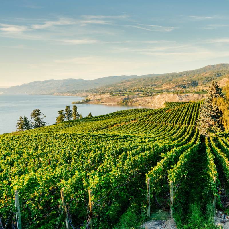 Best Things To Do in Canada