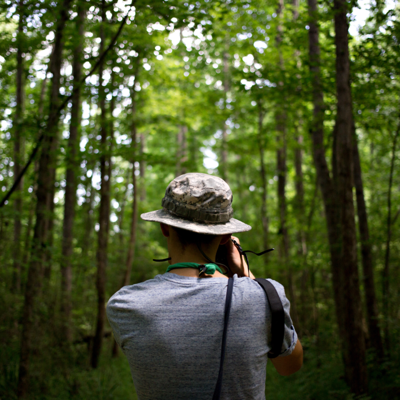 Photo-from-the-back-of-hipster-nomad-adventurer-exploring-exotic-forest-in-national-park-wears-a-panama-hat-and-makes-photos-of-inspirational-nature