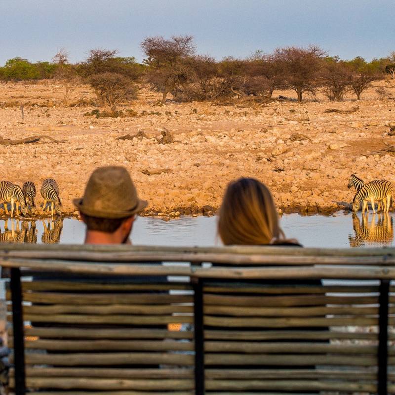 wildlife safari in Namibia