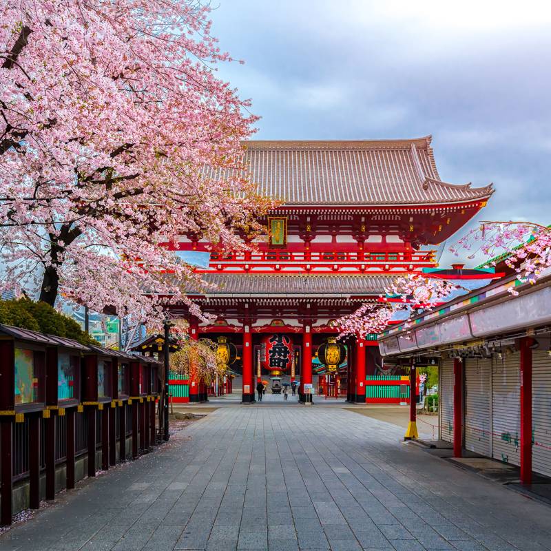 Visit one of Japan's many beautiful temples.