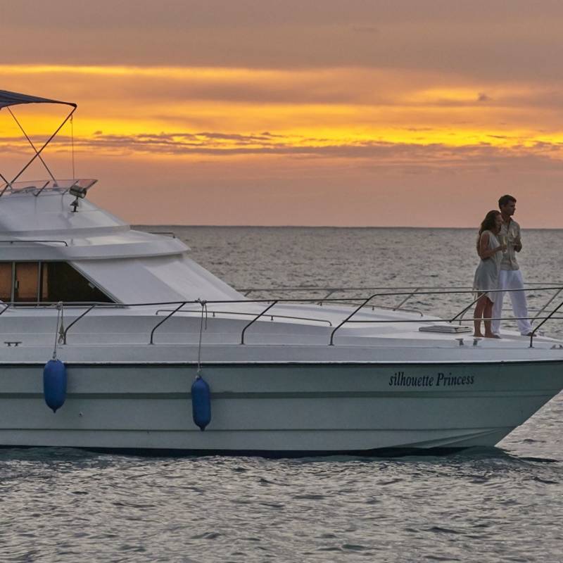 Couples enjoying in cruise during sunset