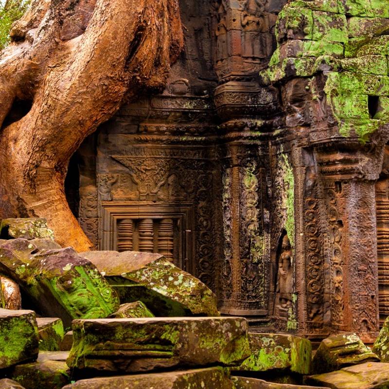 Ta Prohm temple, Angkor Wat complex, Siem Reap, Cambodia, Asia