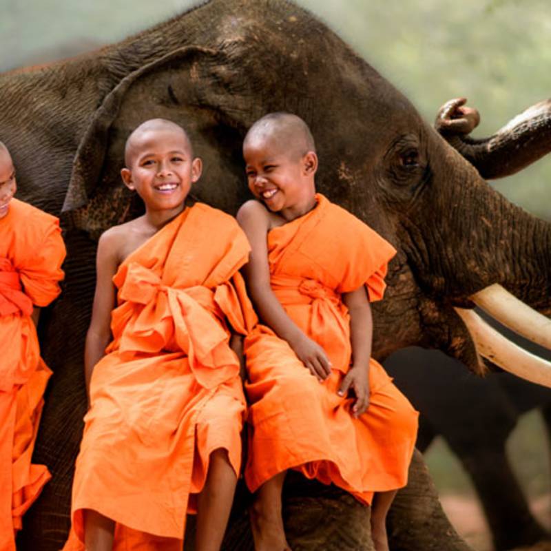 Thailand travel guide - little monks