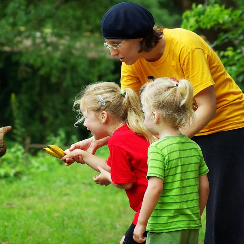 We recommend: Visit an elephant sanctuary or orphanage in Asia or Africa and learn more about how organizations care for these gentle giants.