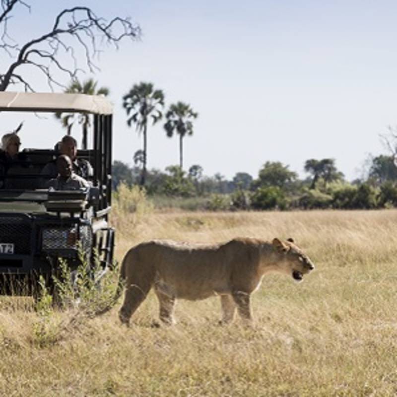 Okavango