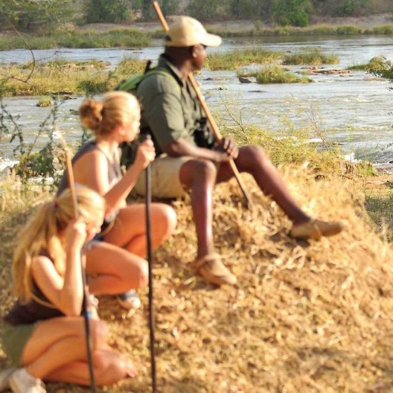 Tanzania safari: North or South?