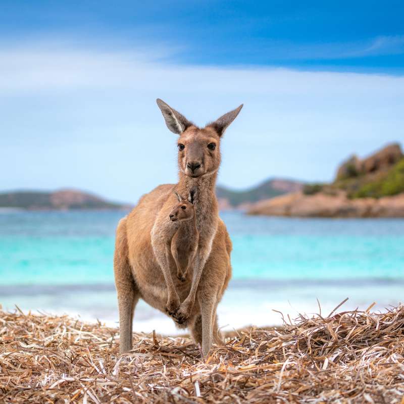 australia's best beaches