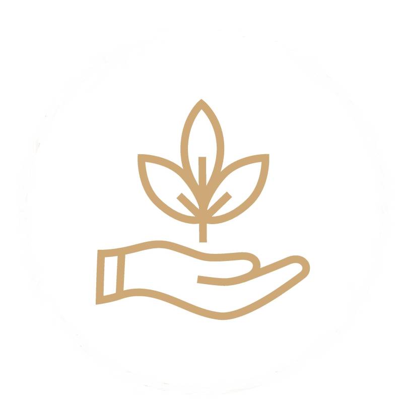 palm-growth-page-0012