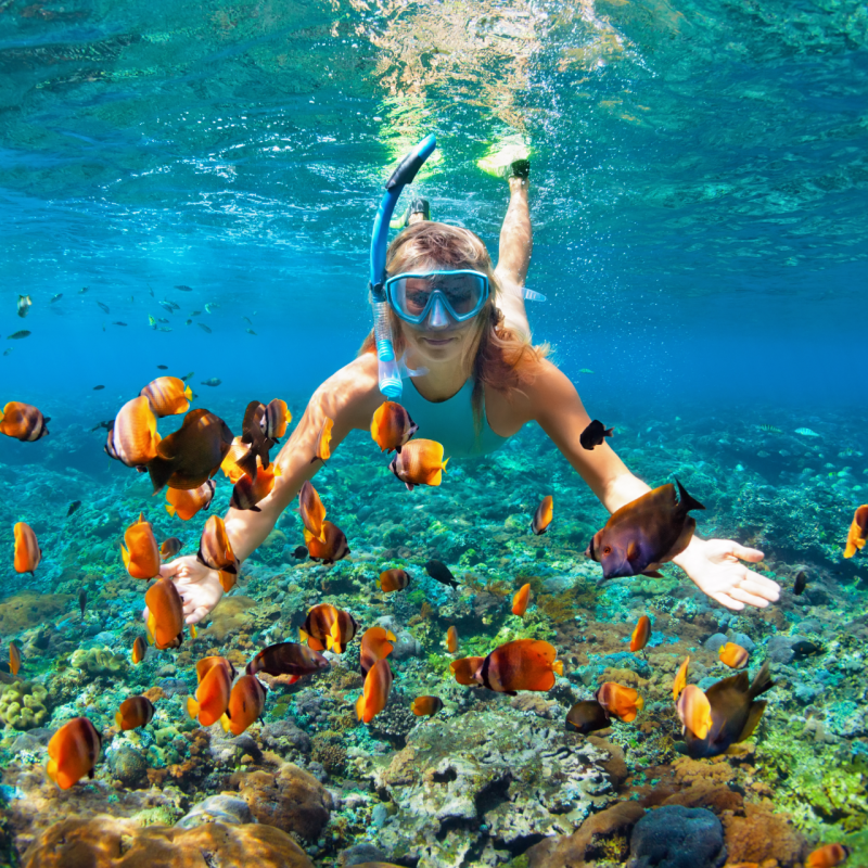 Snorkeling - Things to do in French Polynesia