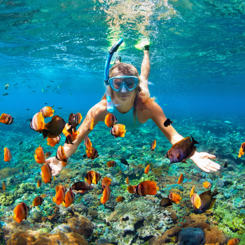 snorkeling in hawaii