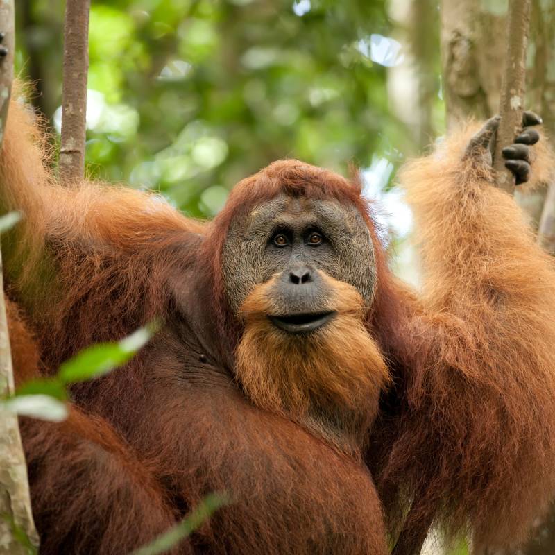 Malaysia Sehenswürdigkeiten
