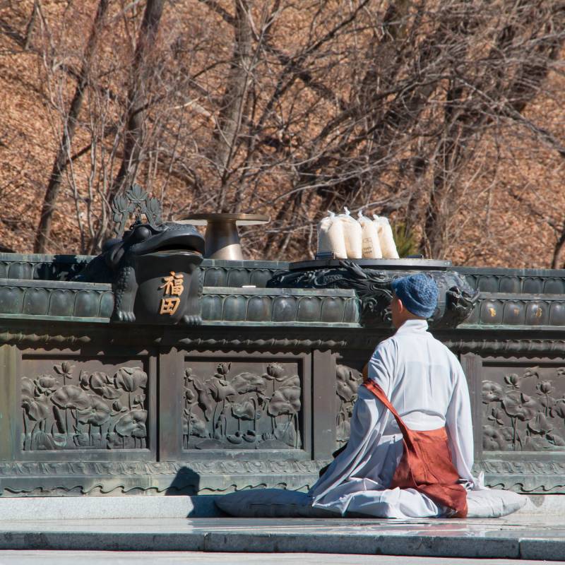 Things to do in South Korea