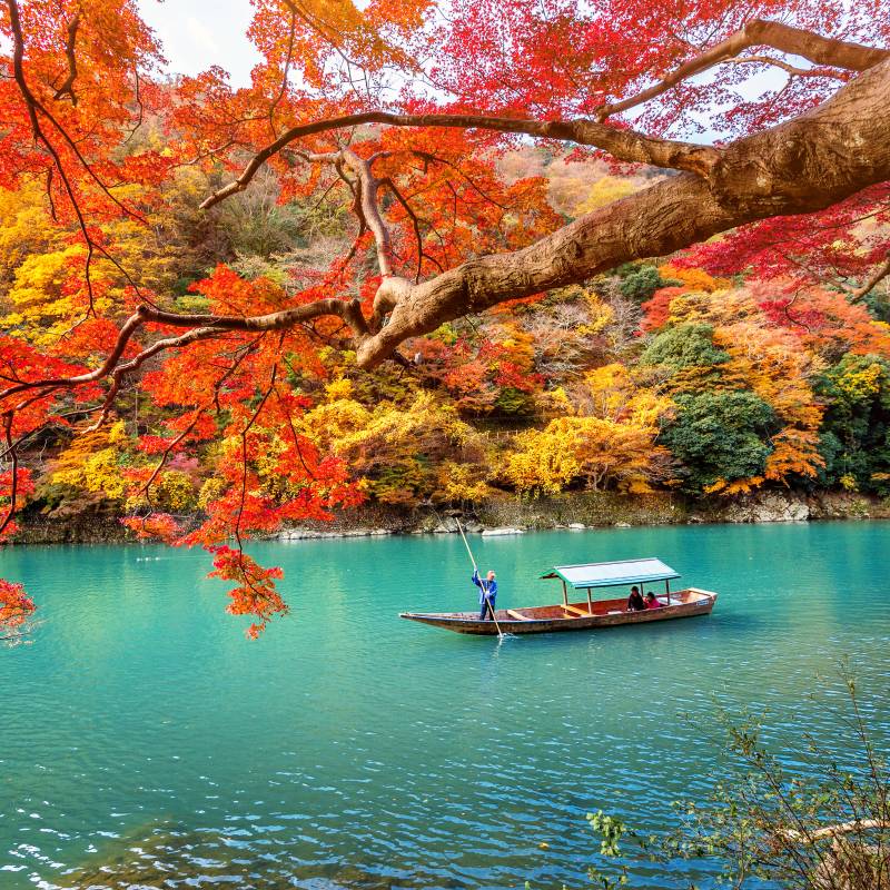 Boatman punting a wooden boat on Arashiyama's turquoise river, surrounded by vibrant red, orange, and yellow autumn foliage, Kyoto, Japan.