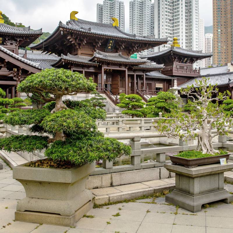 Nan Lian Garden, Kowloon, Hong Kong, Asia