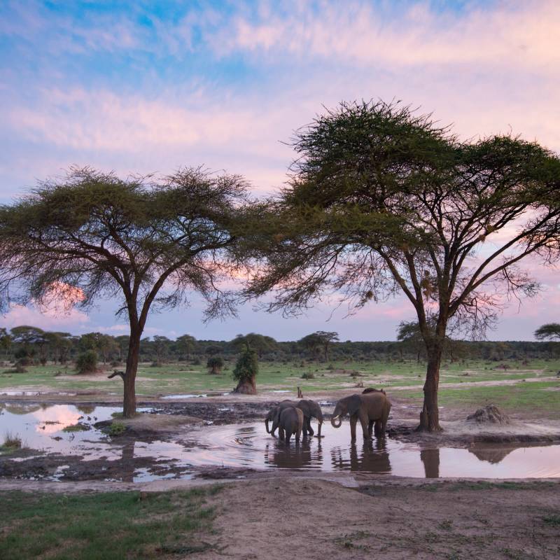 Beste Reisezeit Simbabwe