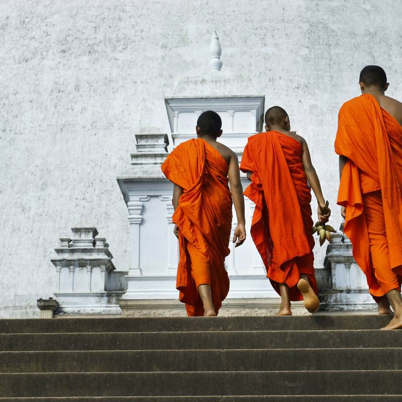 Sri Lankan monks - Sri Lanka travel guide