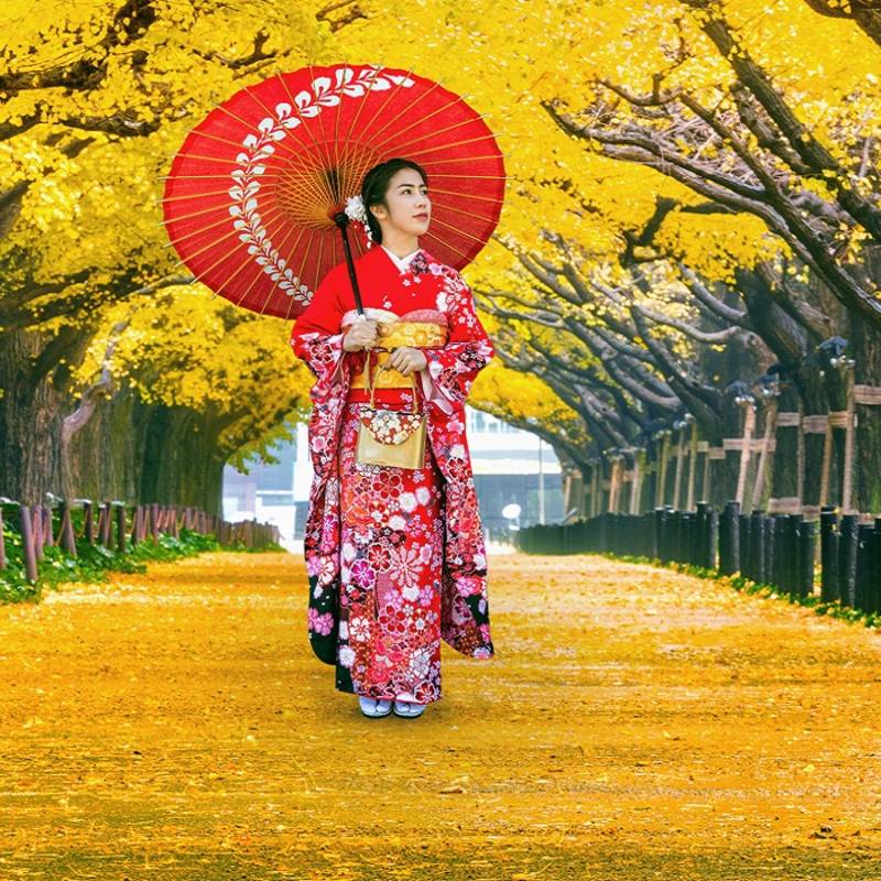 Beautiful girl wearing japanese traditional kimono at row of yellow ginkgo tree in autumn. Autumn park in Tokyo, Japan