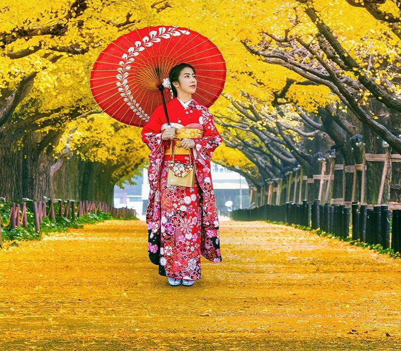 Beautiful girl wearing japanese traditional kimono at row of yellow ginkgo tree in autumn. Autumn park in Tokyo, Japan