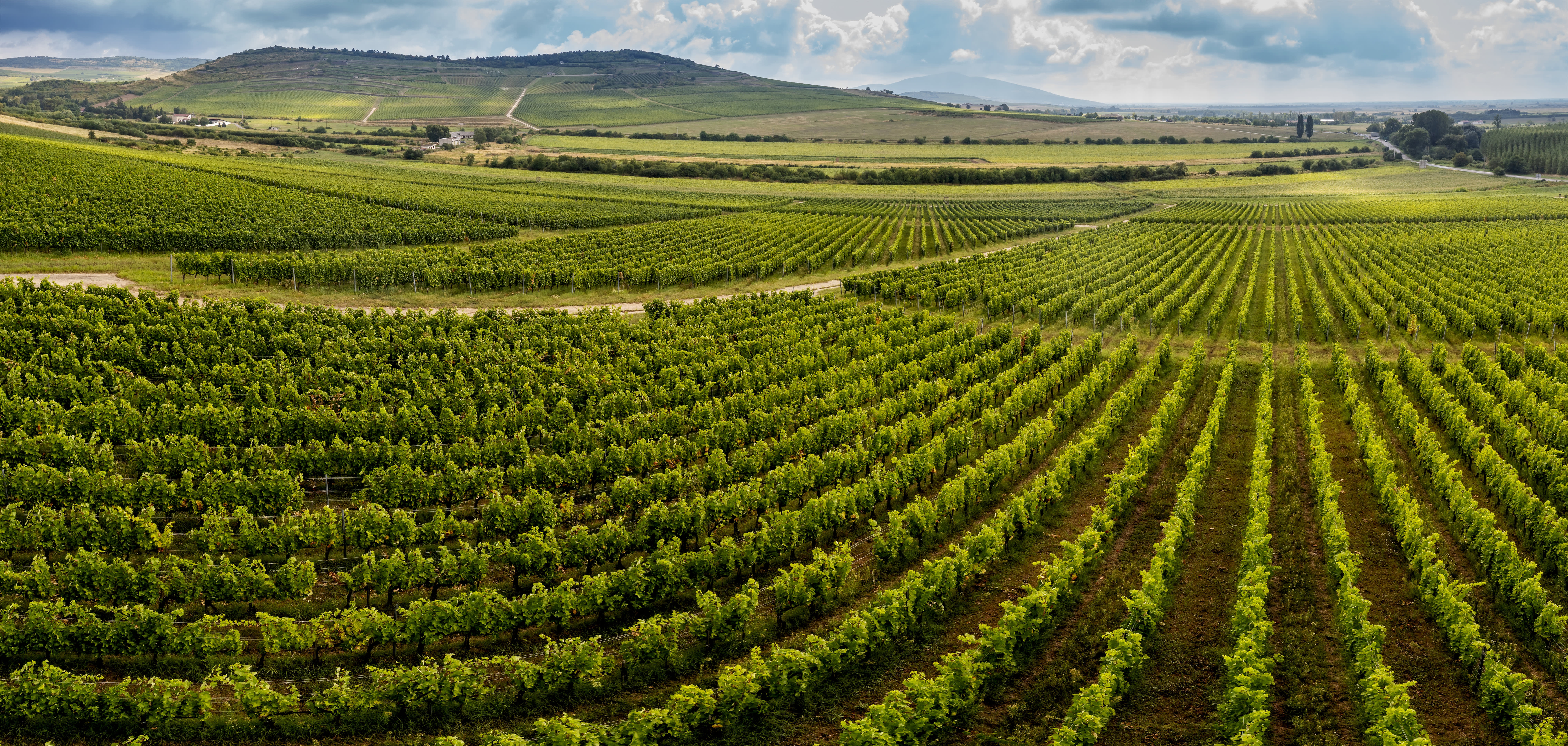 12 Unique European Experiences You Can Enjoy with Exodus