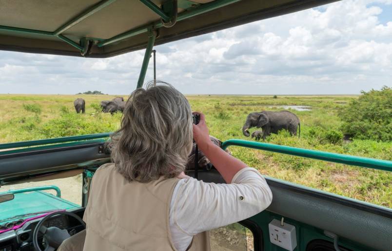 African Safari