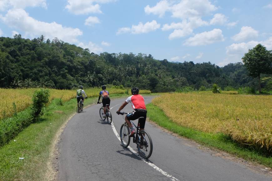 road cycling tours