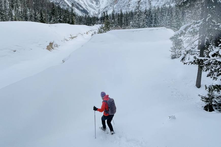 Backcountry Ski Sovereign Lake Snowshoe Hotel Vernon Buchen Best