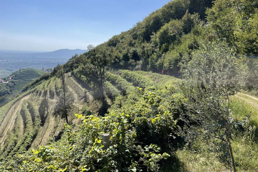 Walking the Prosecco Hills, Trekking the Prosecco Hills, Italy