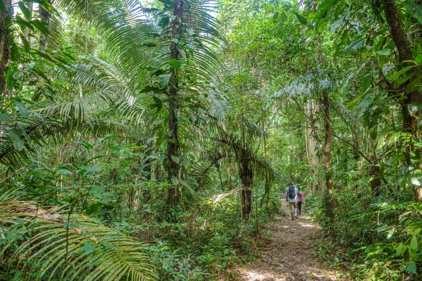 Inca Trail & Amazon Rainforest Trekking Holiday | Exodus
