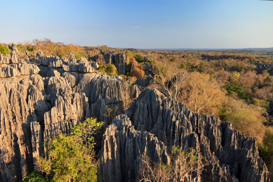 Madagascan Discoverer Exodus