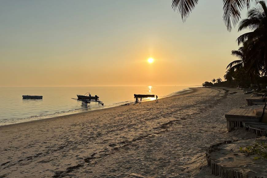 Madagascan Discoverer Exodus