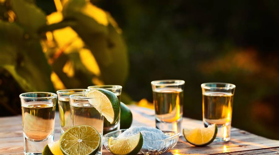 tequila tasting mexico