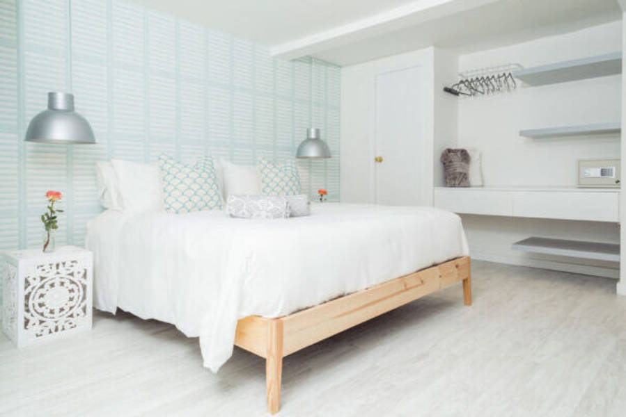 Signature Colombia | Stories Beneath Wax Palms