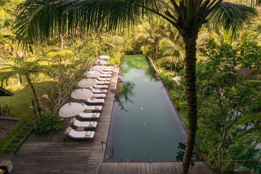 Signature Indonesia | The Sacred Wild Isles